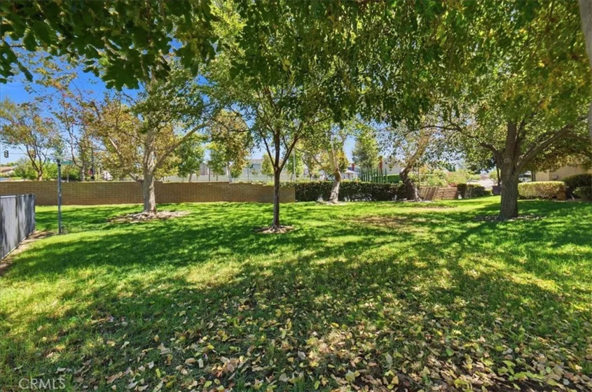 440 Elsmere Drive photo 39