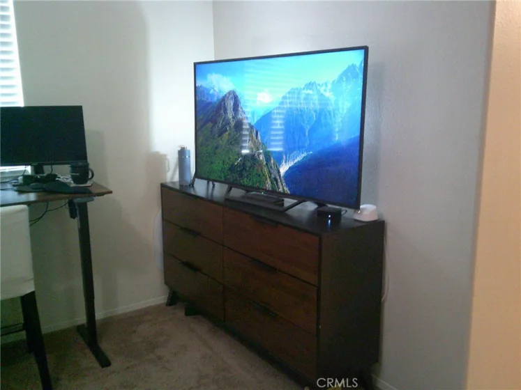 27959 Cactus #B photo 20