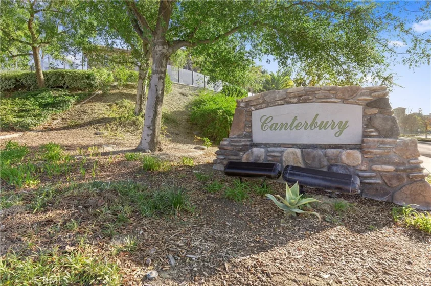 17206 Coriander Court photo 56