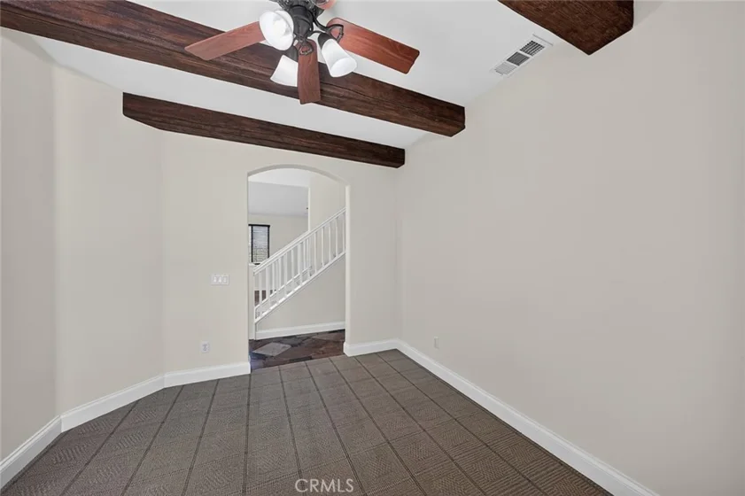 33320 Rhine photo 12
