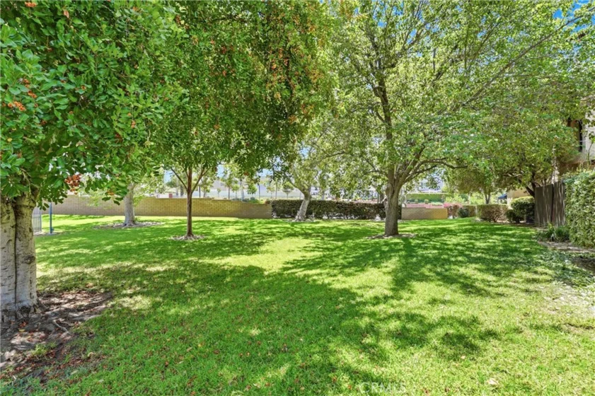 6567 Carioca Lane photo 26