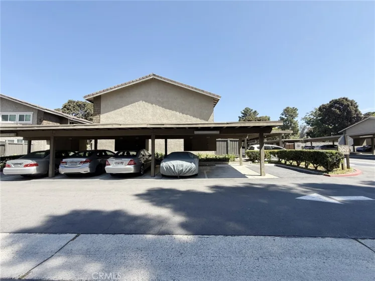 231 Springview photo 9