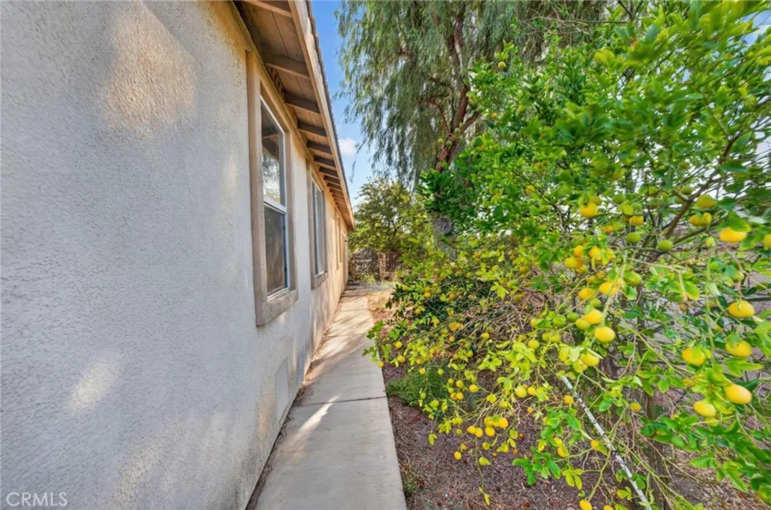 37799 Amber Lane photo 43