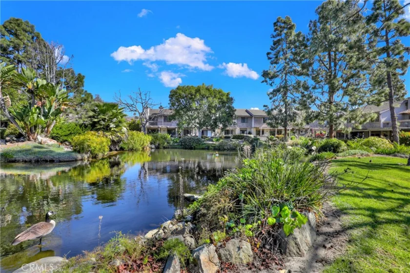27025 E Mill Pond #32 photo 51