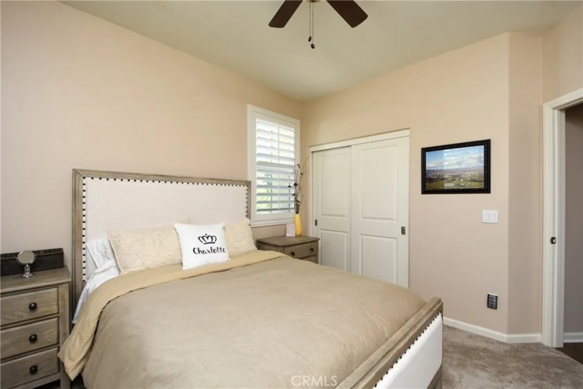 31929 Calle Luz photo 22