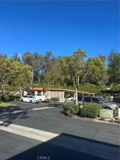 21245 Camelia #27 photo 34