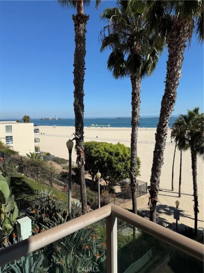 1000 E Ocean Boulevard #416 photo 40