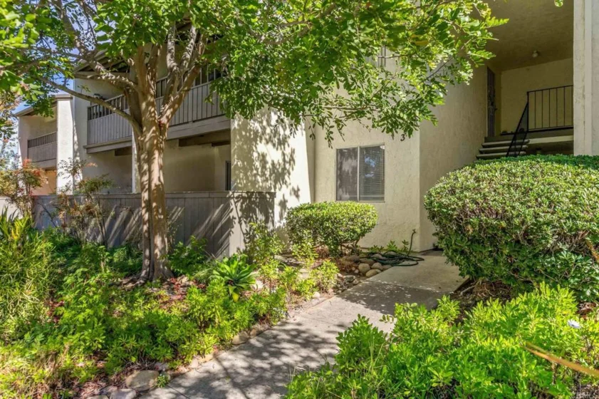 9175 Campina Drive #3 photo 1
