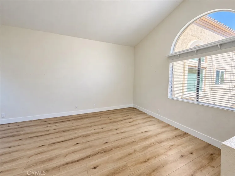 21156 Gladiolos photo 4