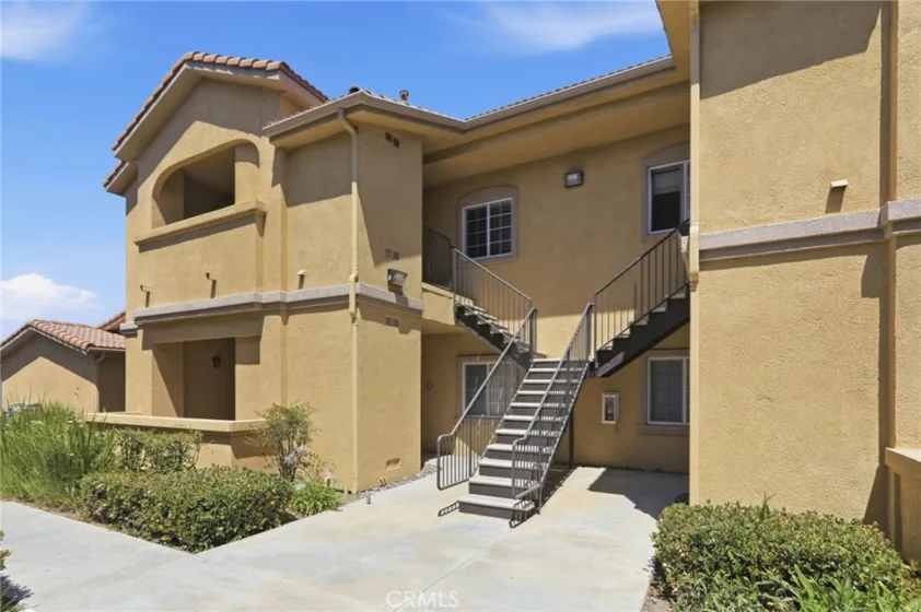 41410 Juniper photo 2