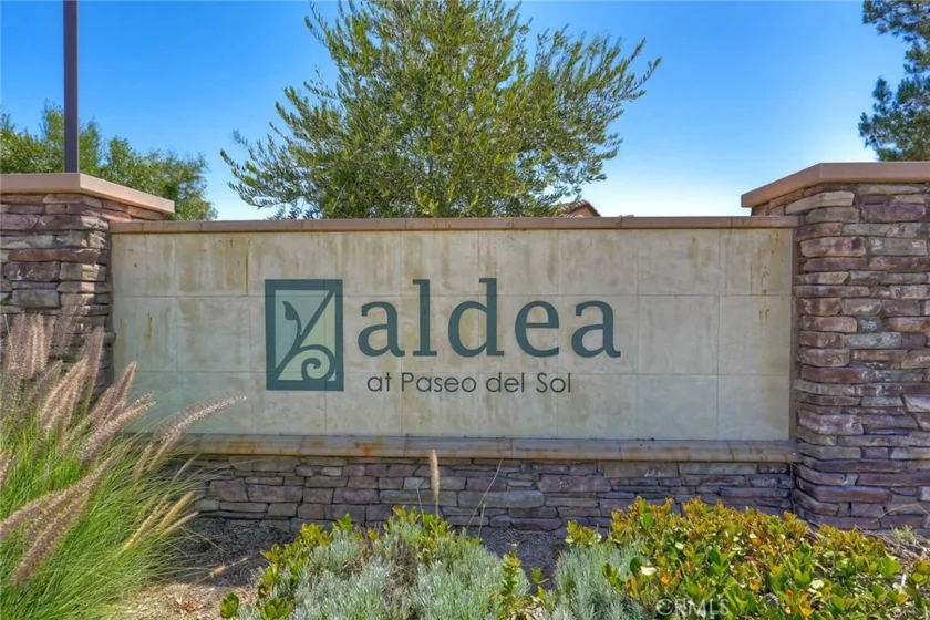 31888 Calle Luz photo 33