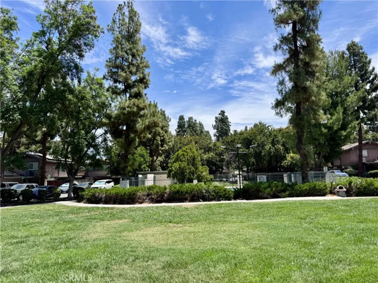 4877 Jackson Street #B photo 30