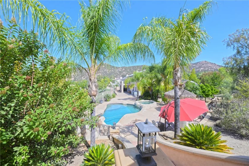 26784 Lemon Grass photo 30