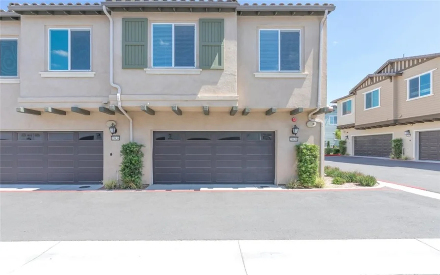 39438 Corvina photo 26