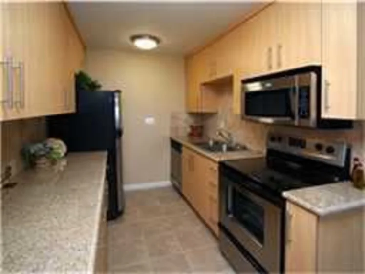 211 Elm Avenue #1 photo 1