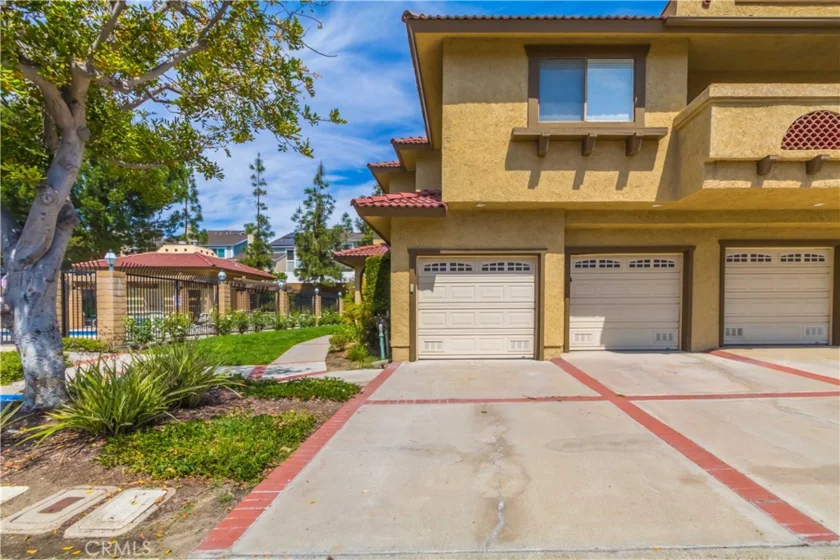 25261 Tanoak photo 34