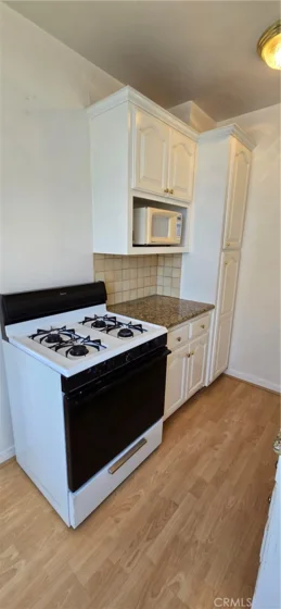 455 E Ocean Boulevard #1106 photo 37