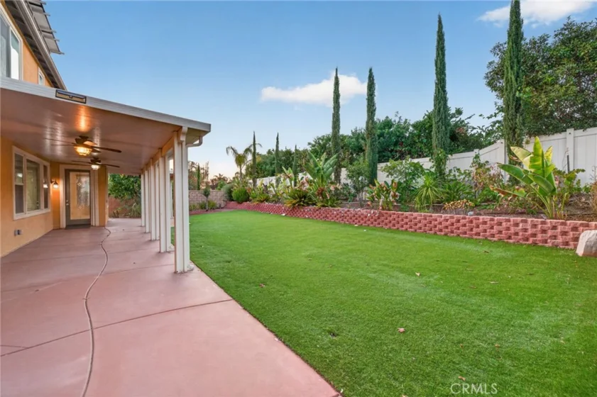 30780 Olympia Rose photo 60