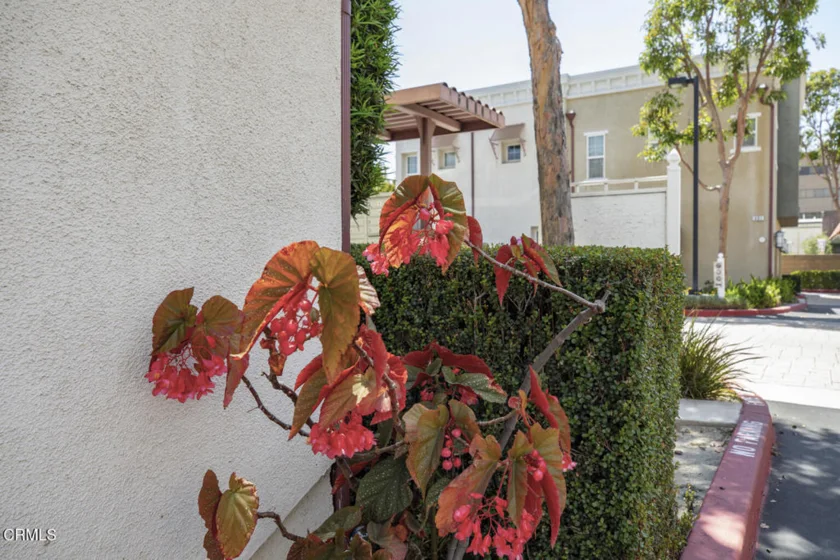 383 Arden Avenue #2 photo 64