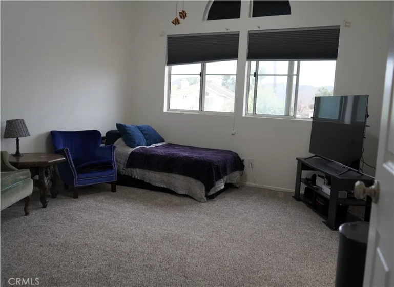 24054 Bearskin photo 25