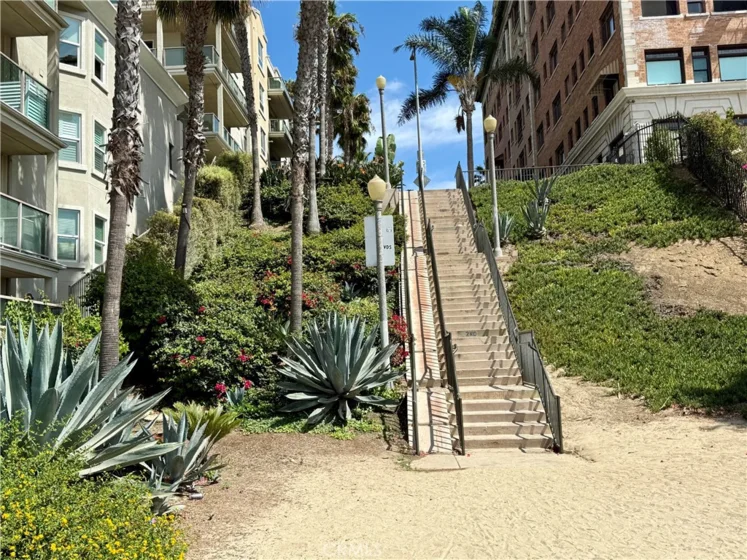 1000 E Ocean Boulevard #416 photo 36