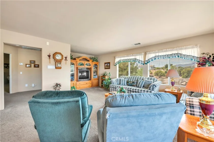 21410 Avenida De Arboles photo 69