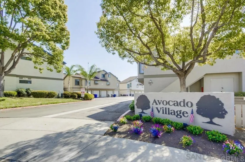 3637 Avocado Village Court #99 photo 1