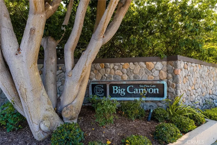 9 Canyon Island Drive photo 26