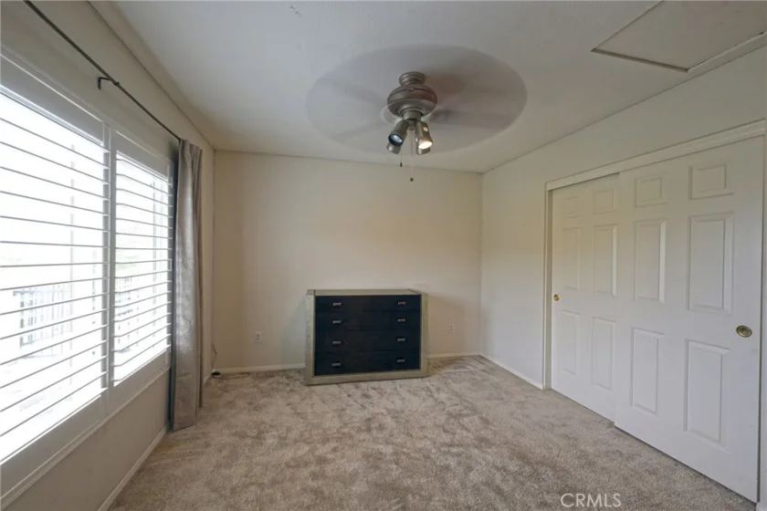 26784 Lemon Grass photo 43