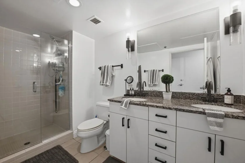425 W Beech #1702 photo 26