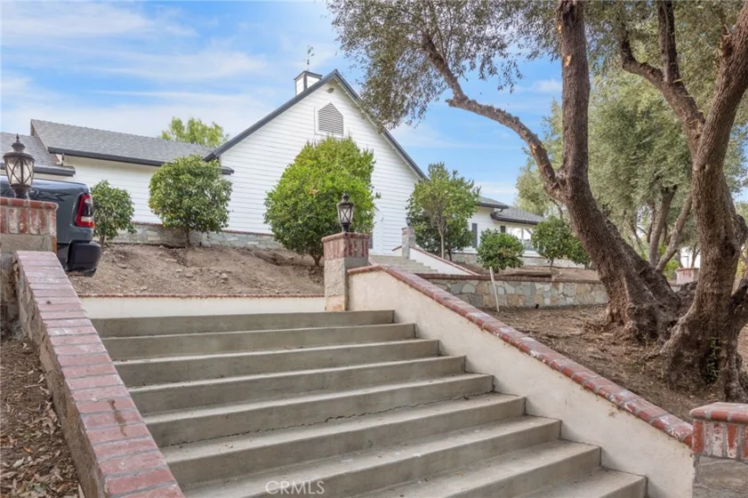 42761 Juniper photo 6