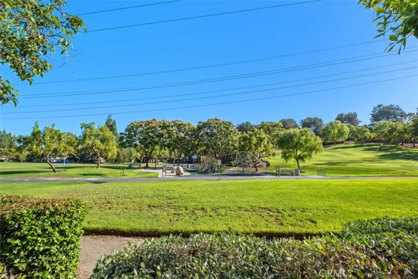 36 Rainwood photo 19