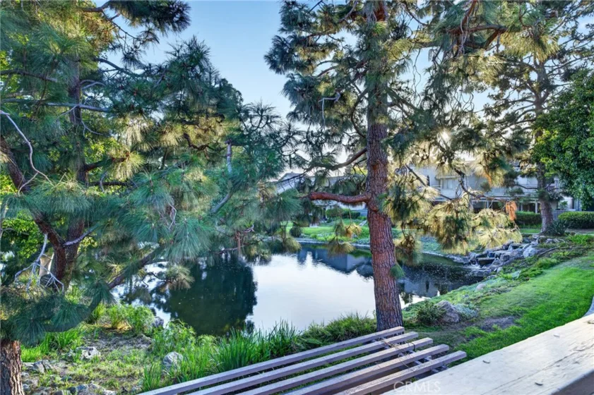26972 Mill Pond Road photo 43