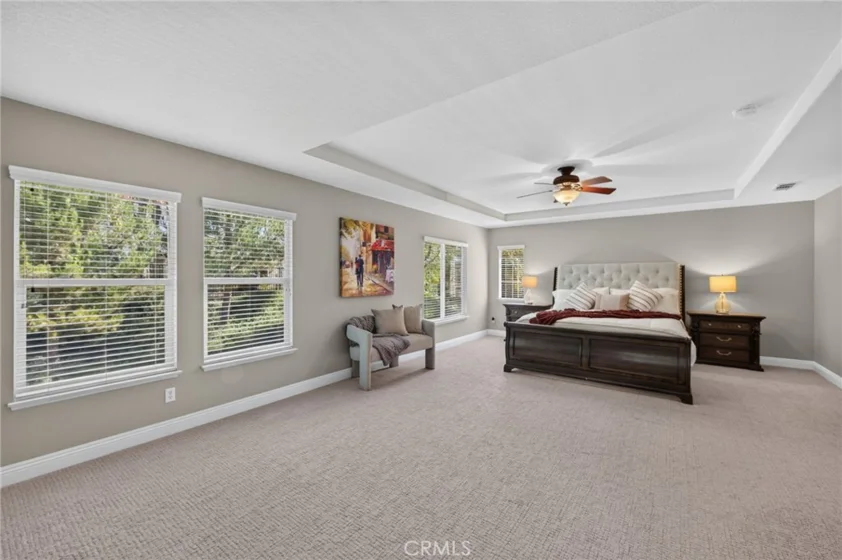 42111 Majestic Court photo 42