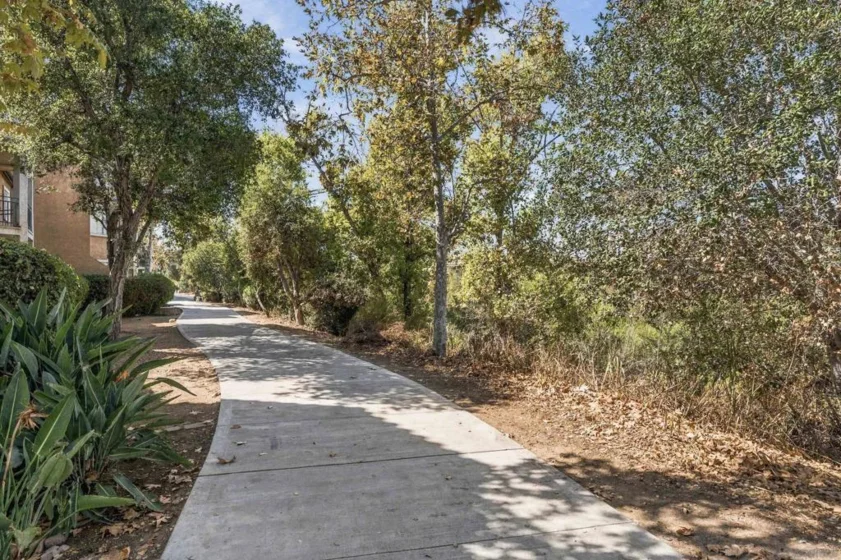 2150 Camino De La Reina #216 photo 17