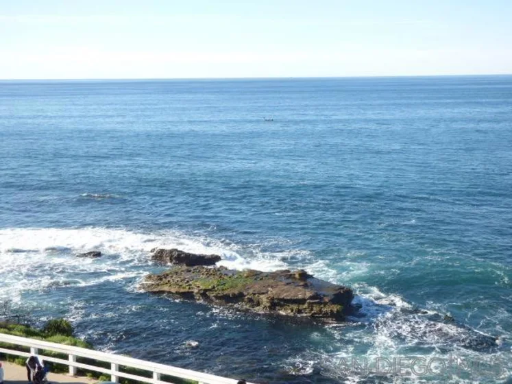 939 Coast Boulevard #6A photo 5