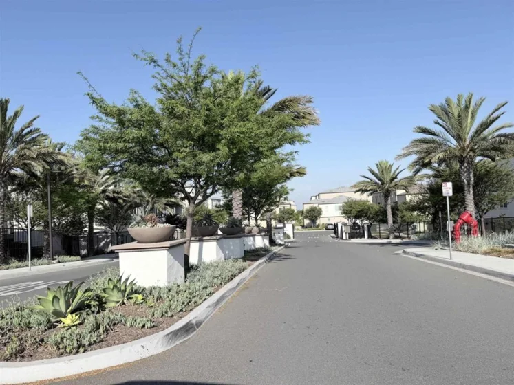 5203 Beachfront Cove #18 photo 23