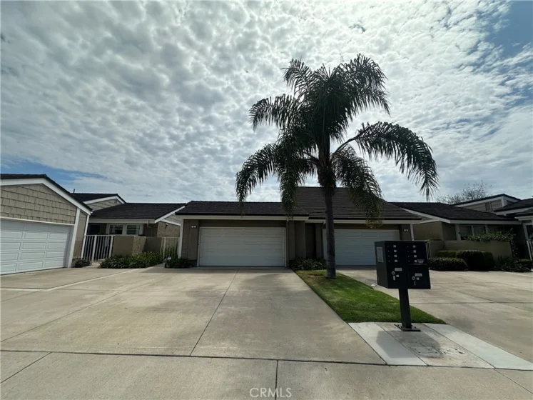 11 Beechwood photo 14