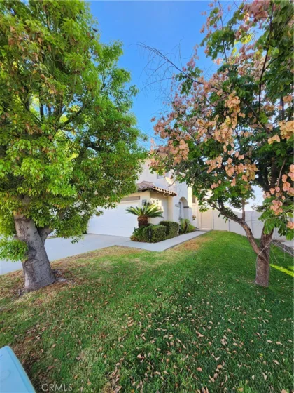 2057 San Diego photo 1