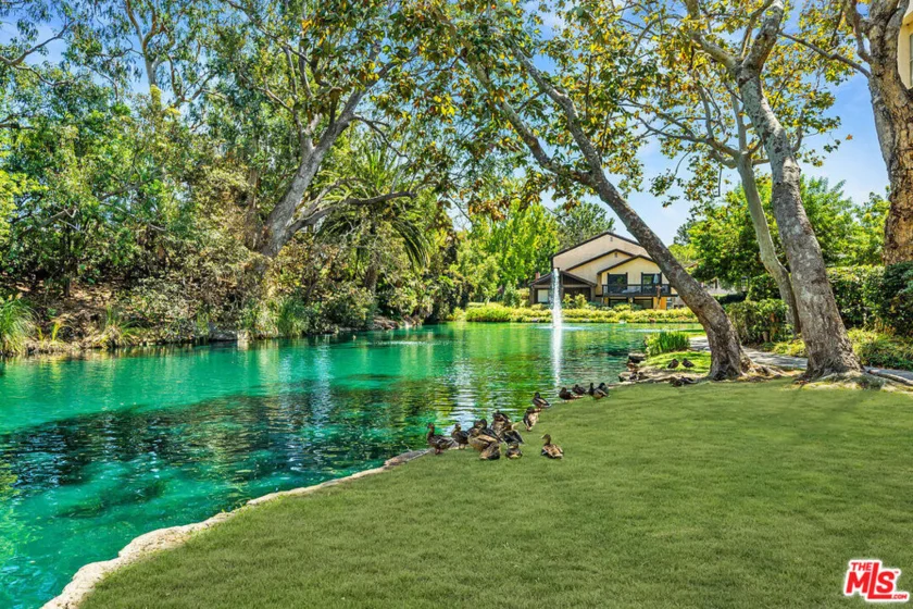 8313 Raintree Circle photo 3