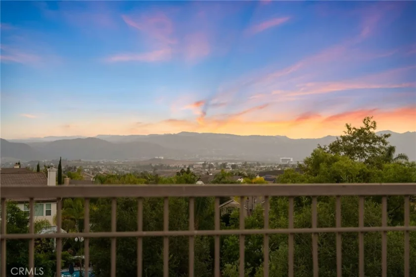 35685 Abelia photo 58