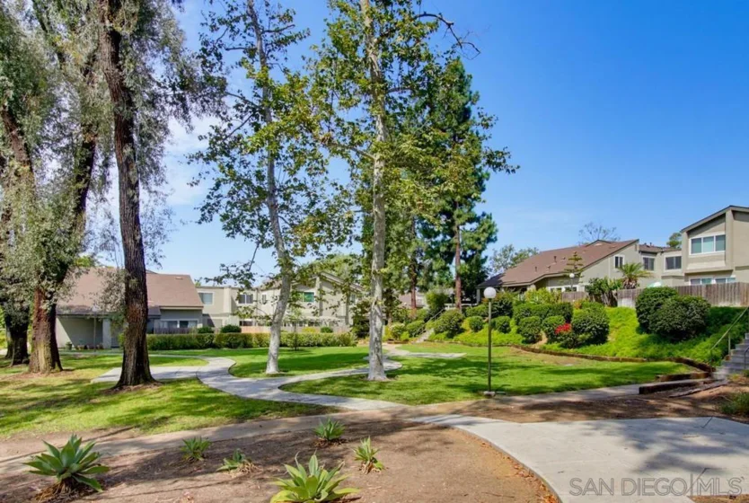 10854 Macouba Place photo 38