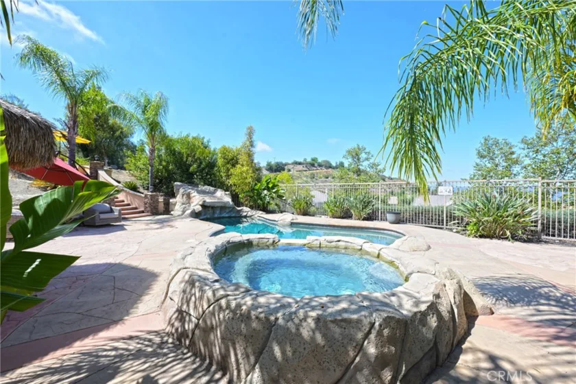 26784 Lemon Grass photo 4