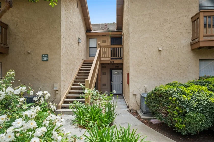 324 Tangelo photo 2