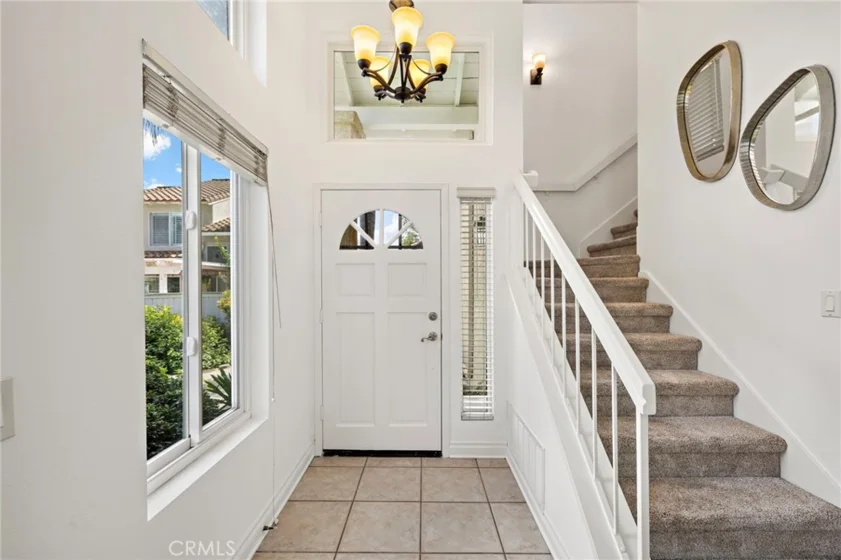 26907 Begonia photo 15