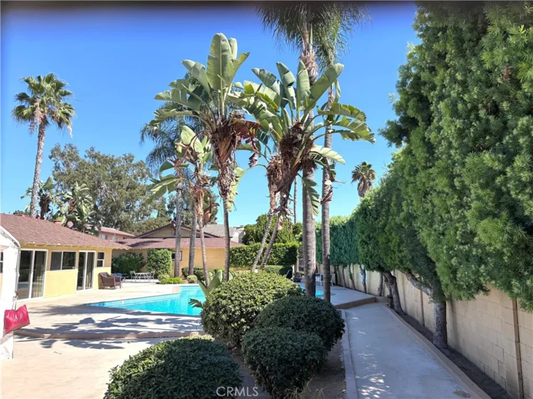 1531 E La Palma #C4 photo 13