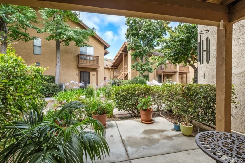 306 Tangelo #342 photo 17