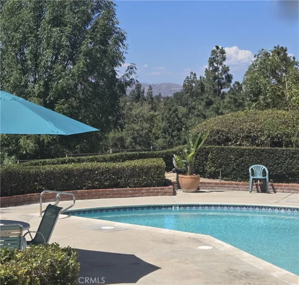 1360 Shadow Lane #K photo 17