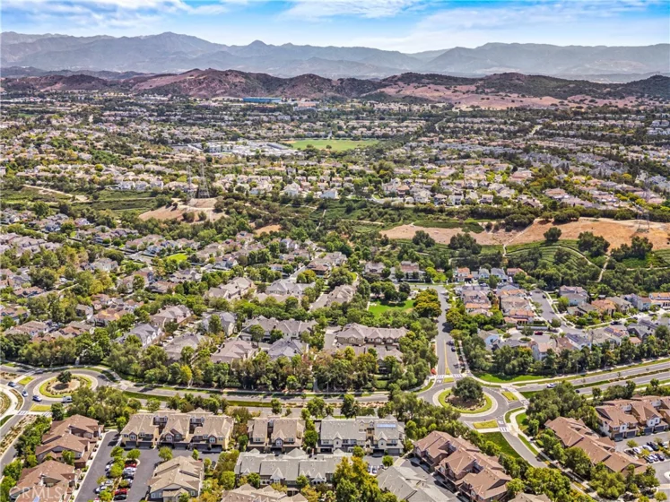 71 Orange Blossom photo 36