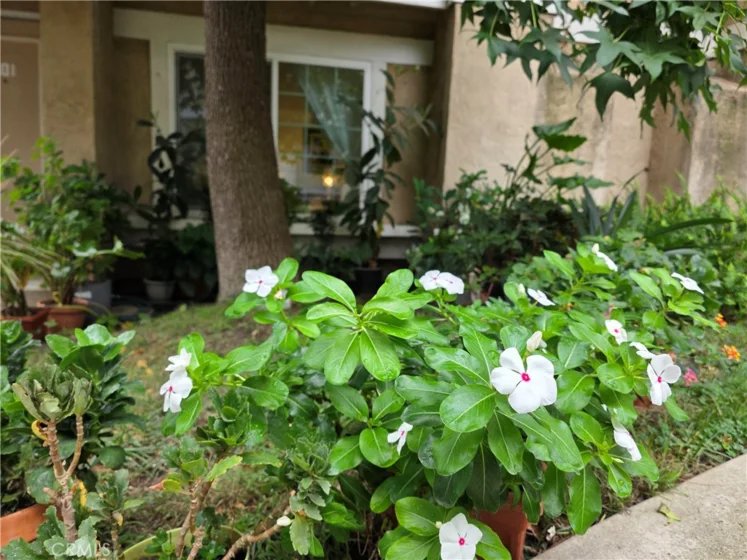 14344 Foothill #501 photo 28